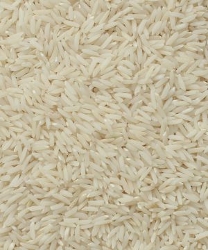 برنج هاشمی درکام
