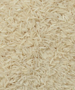 برنج فجر درکام