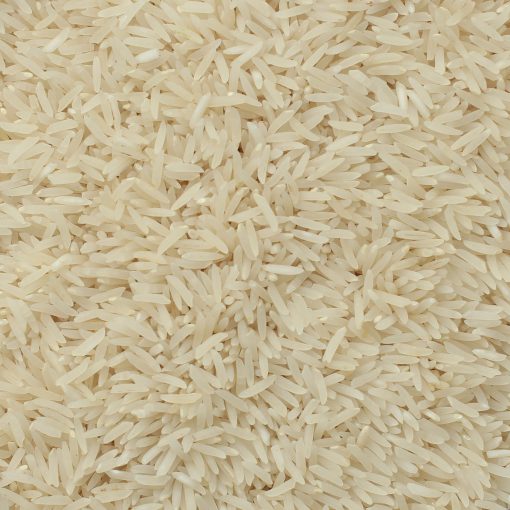 برنج فجر درکام