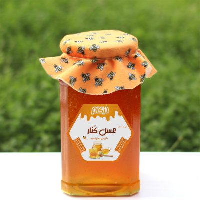 عسل صد در صد طبیعی کنار